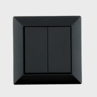 Выключатель ARDITI Double Rocker, Anthracite