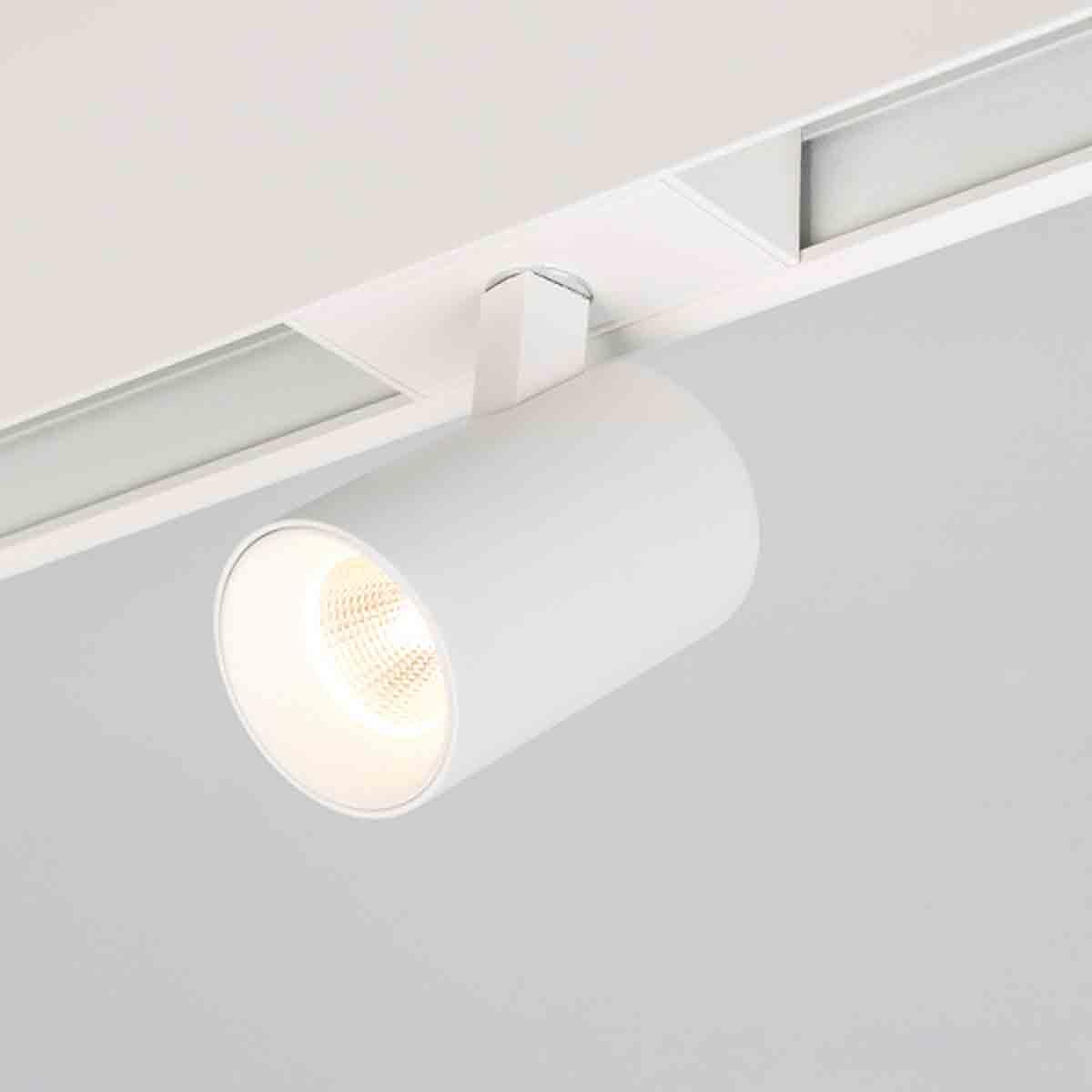 Трековый светильник для магнитного шинопровода Arlight MAG-SPOT-45-R85-12W Warm3000 033426