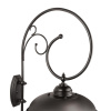 Уличный настенный светильник Covali WL-51506