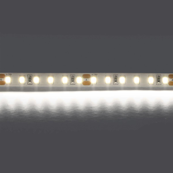 Светодиодная лента Lightstar 12W/m 120LED/m холодный белый 5M 420805