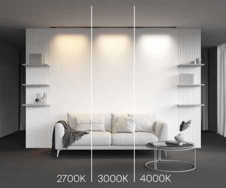 Трековый светильник Maytoni Technical Basis TR190-1-10W3K-B