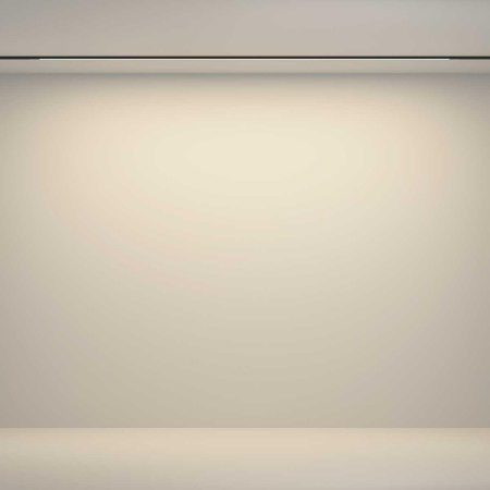 Трековый светильник Maytoni Technical TR180-1-24WTW-B